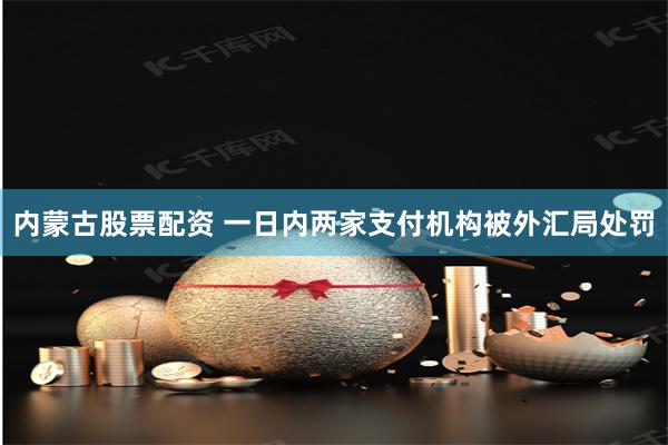 内蒙古股票配资 一日内两家支付机构被外汇局处罚