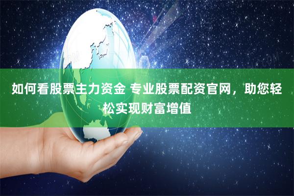 如何看股票主力资金 专业股票配资官网，助您轻松实现财富增值